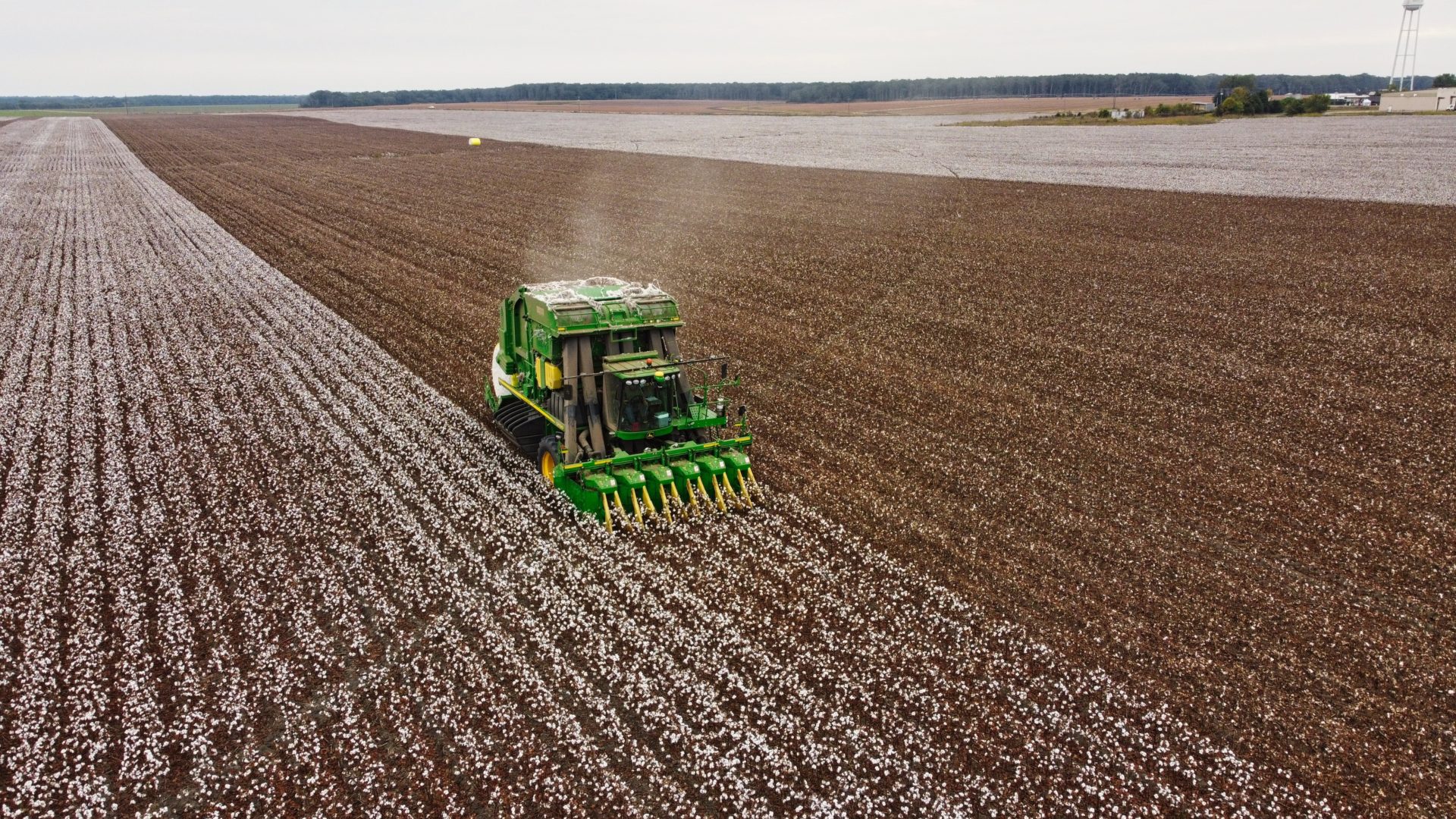 2020 Mississippi OnFarm Cotton Variety Trials Mississippi Crop Situation