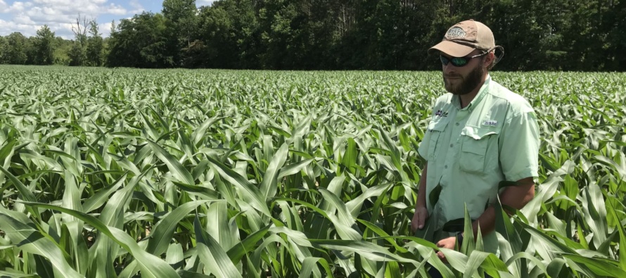 Improving Corn Response to Nitrogen Fertilizer