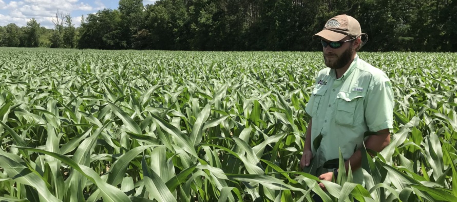 2021 MSU Row Crop Educational Programs – Corn Episodes