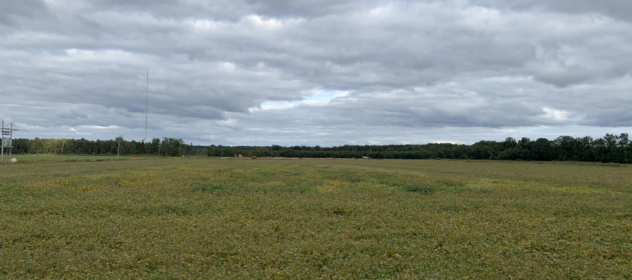 2020 Soybean OVT Foliar Disease Evaluations: Maturity Group IV