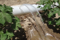 2021 MSU Row Crop Educational Programs – Irrigation Update