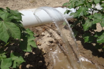 2021 Irrigation Technology (Podcast)