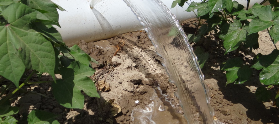 2021 MSU Row Crop Educational Programs – Irrigation Update