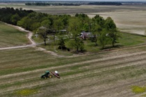 Mississippi Cotton Early Season Management Considerations 2021