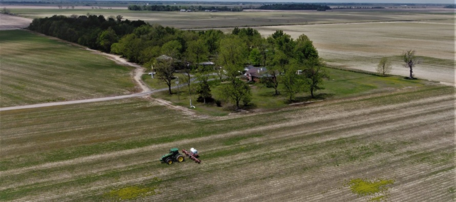 Mississippi Cotton Early Season Management Considerations 2021