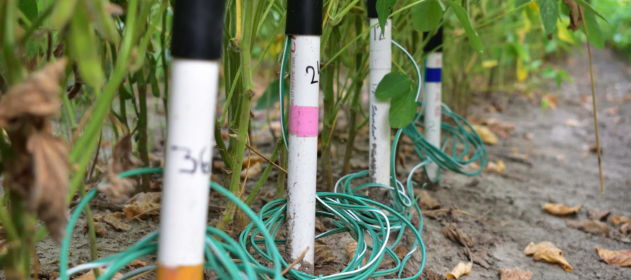 How to Determine Where to Install Soil Moisture Sensors