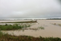 Immediately After the Flood Soil Management