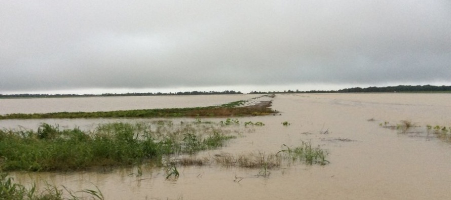 Immediately After the Flood Soil Management