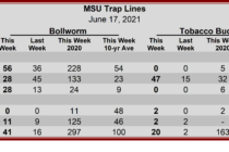 Heliothine Trap Counts, June 17, 2021