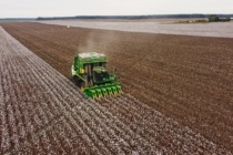 2022 Mississippi On-Farm Cotton Variety Trials