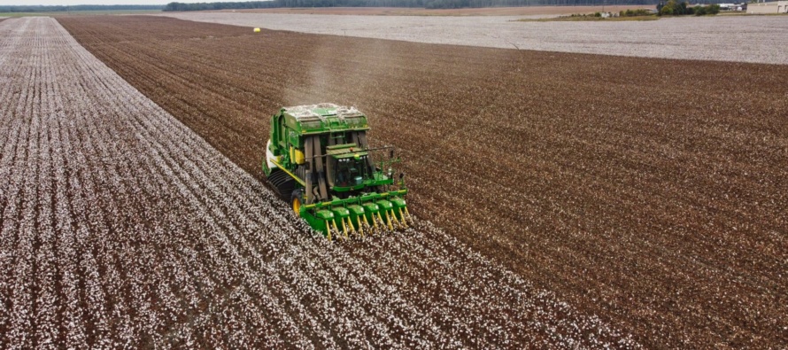 2022 Mississippi On-Farm Cotton Variety Trials