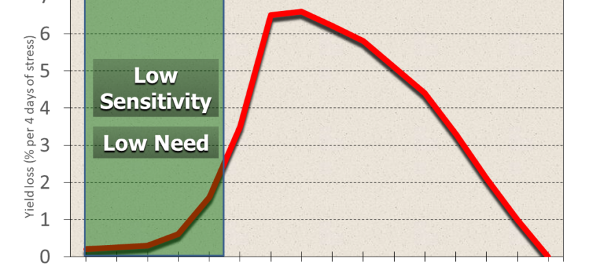 When should we Start Irrigating Corn to Enhance Yield Potential?