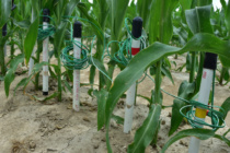 Where should I install my soil moisture sensors?