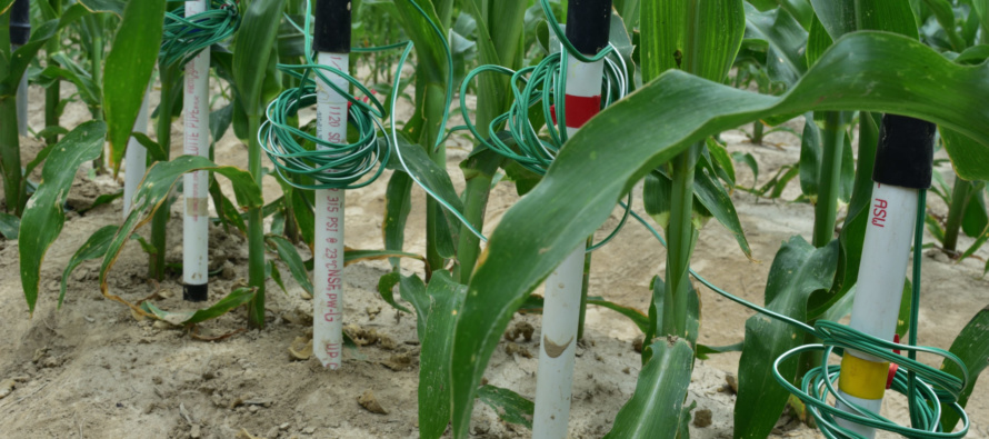 Where should I install my soil moisture sensors?