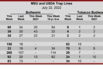 Heliothine Trap Counts, July 22, 2022