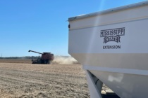 2022 MSU Extension Soybean Variety Demonstration Program Summary