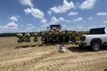 Economic and Agronomic Considerations for K2O Applications in Cotton