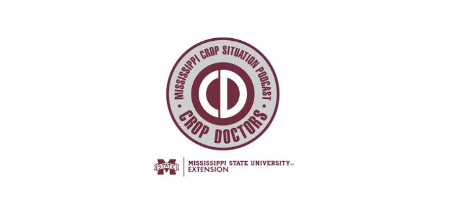Advanced Planting Work at MSU (Podcast)