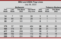 Heliothine Trap Counts, July 27, 2023