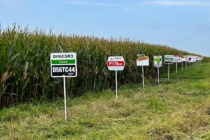 2023 Yield Summaries from the MSU Corn Hybrid Demonstration Program