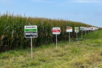 2023 Corn Hybrid Demonstration Program Results