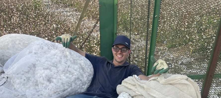 Preliminary 2023 MSU Cotton OVT
