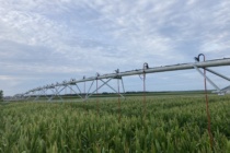 Where to Install Soil Moisture Sensors for Pivot Irrigation