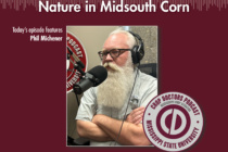 Hitting Curveballs from Mother Nature in Midsouth Corn (podcast)