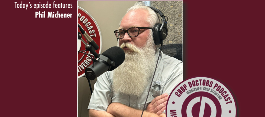 Hitting Curveballs from Mother Nature in Midsouth Corn (podcast)
