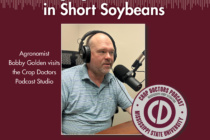 Managing Yield Potential in Short Soybeans