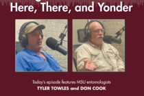 Bugcast: Bollworms Here, There, and Yonder