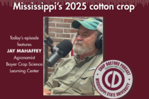 Podcast: Jay Mahaffey on ThryvOn and Mississippi’s 2025 cotton crop 