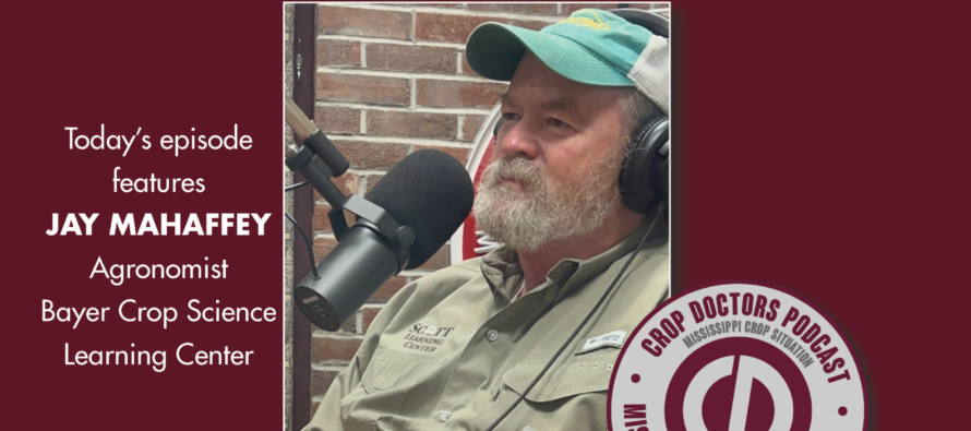 Podcast: Jay Mahaffey on ThryvOn and Mississippi’s 2025 cotton crop 