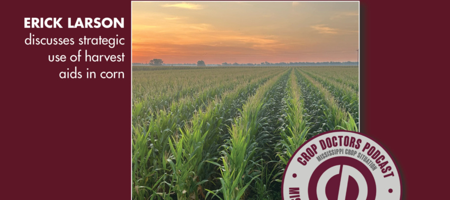 Podcast: Clearing the Way for the Combine with Corn Harvest Aids