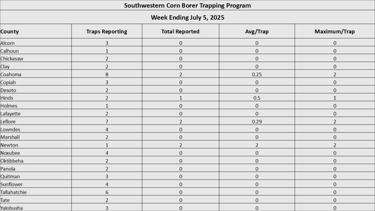Soybean