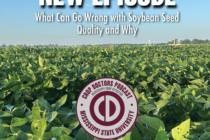 PODCAST: What Can Go Wrong with Soybean Seed Quality and Why