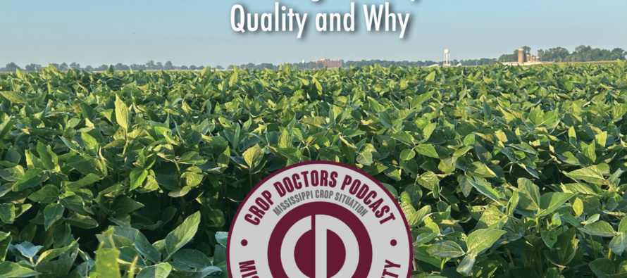 PODCAST: What Can Go Wrong with Soybean Seed Quality and Why