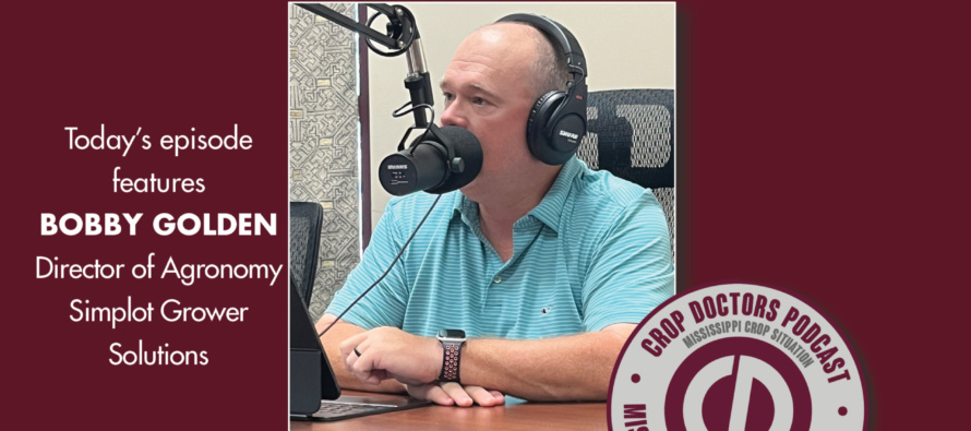 Podcast: Postharvest Soil Testing and Next Year’s Fertility Blueprint