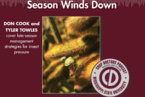 Bugcast: What To Do As the Season Winds Down