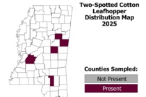 Two-Spotted Leaf Hopper State Distribution 9.19.25