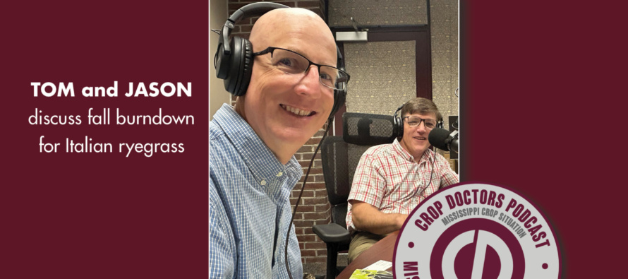 Podcast: October Means Fall Burndown