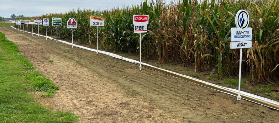 2025 Yield Results from the MSU Corn Hybrid Demonstration Program