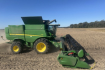 2026 Suggested Soybean Varieties for Mississippi