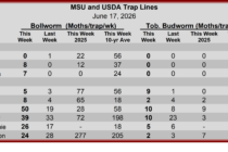 Heliothine Trap Counts, June 17, 2026