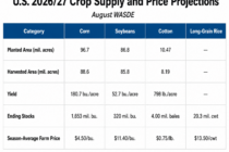 USDA Revises Crop Acres and Yields in August WASDE