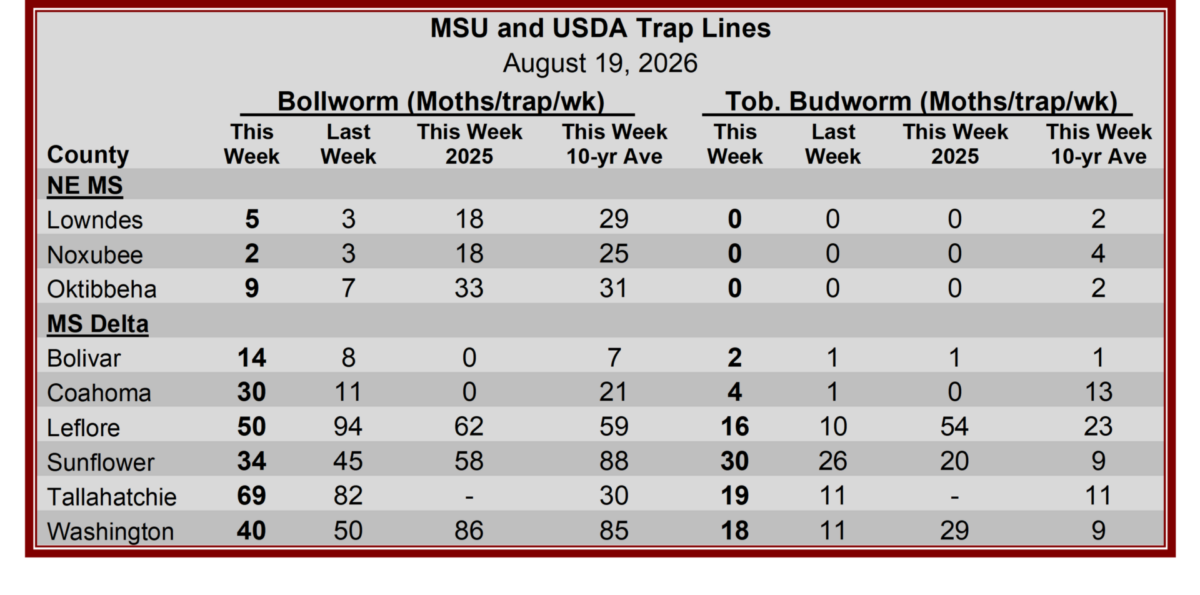 Herbicide Symptomology